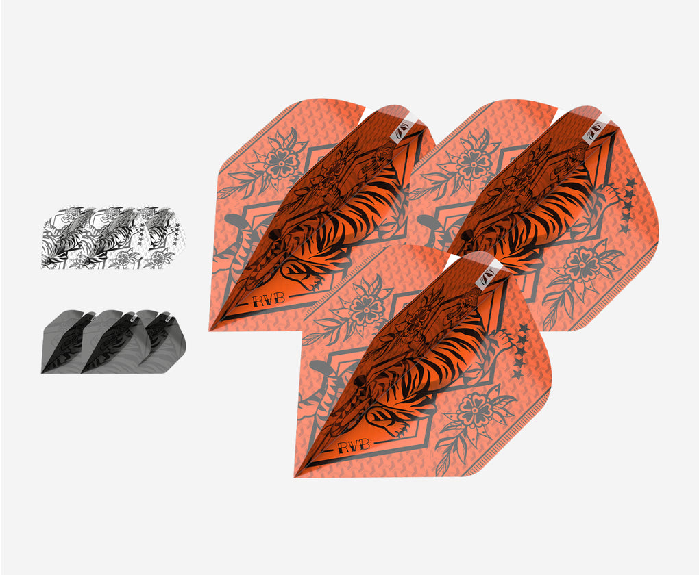 TARGET RAYMOND VAN BARNEVELD INK FLIGHTS (3 SETS)