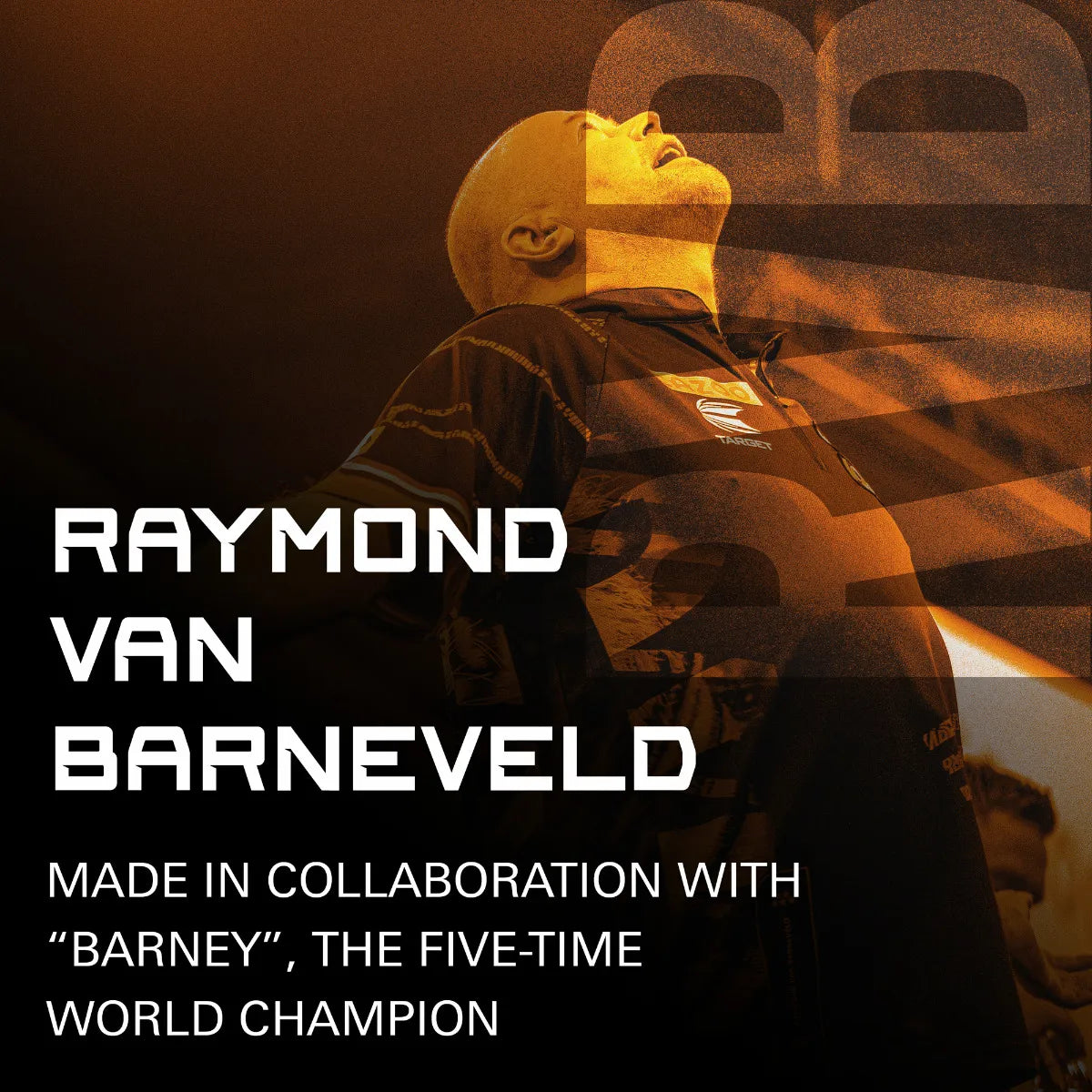 TARGET RAYMOND VAN BARNEVELD K-FLEX NO.2