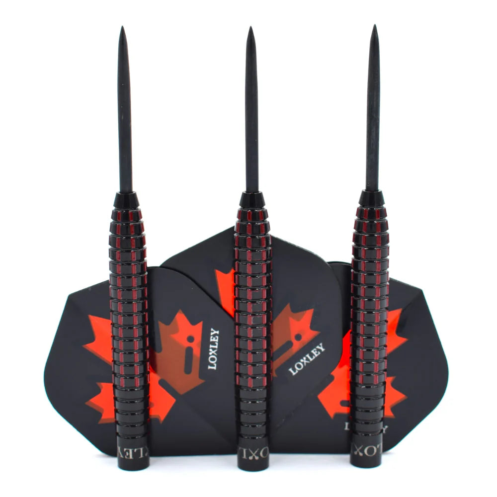 LOXLEYJOHN PART 30TH ANNIVERSARY EDITION 95% STEEL TIP DARTS
