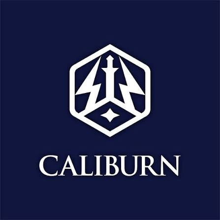 Caliburn Darts Collection