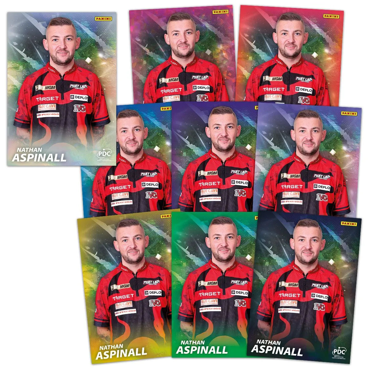 PANINI PDC PREMIER LEAGUE DARTS TRADING CARDS - PREMIUM BOX