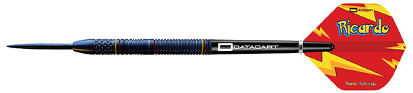 DATADART RICARDO PIETRECZKO 90% STEEL TIP DARTS