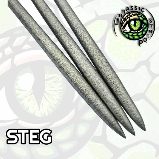JURASSIC DART POINTS - STEG