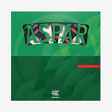 TARGET ASPAR PROFESSIONAL DARTBOARD