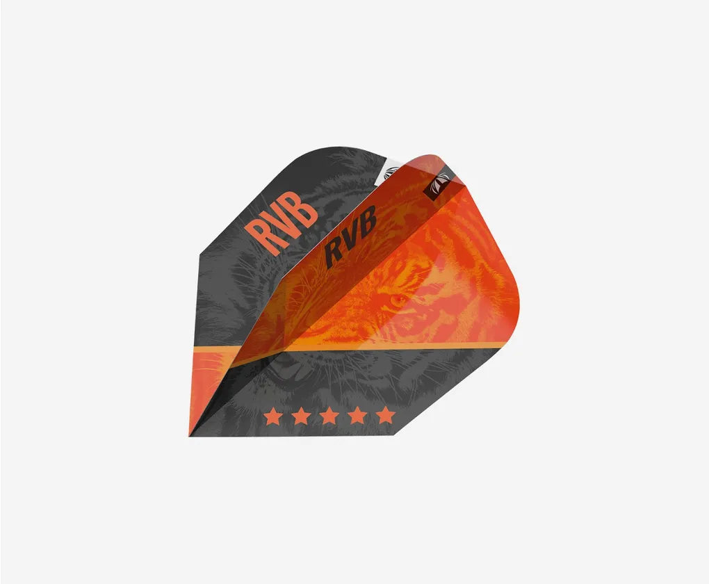 Target Raymond Van Barneveld Gen 4 95% Tungsten SP 25g Darts Set - View #7