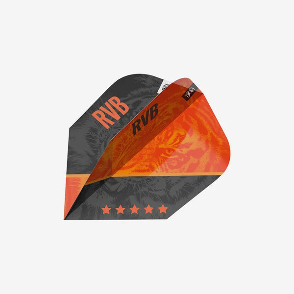 TARGET RAYMOND VAN BARNEVELD RVB95 GEN 4 SP 95% STEEL TIP DARTS