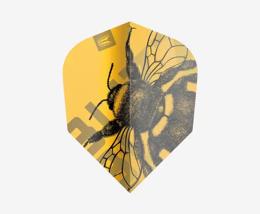 TARGET BUZZ FLIGHTS NO.2 (3 SETS)